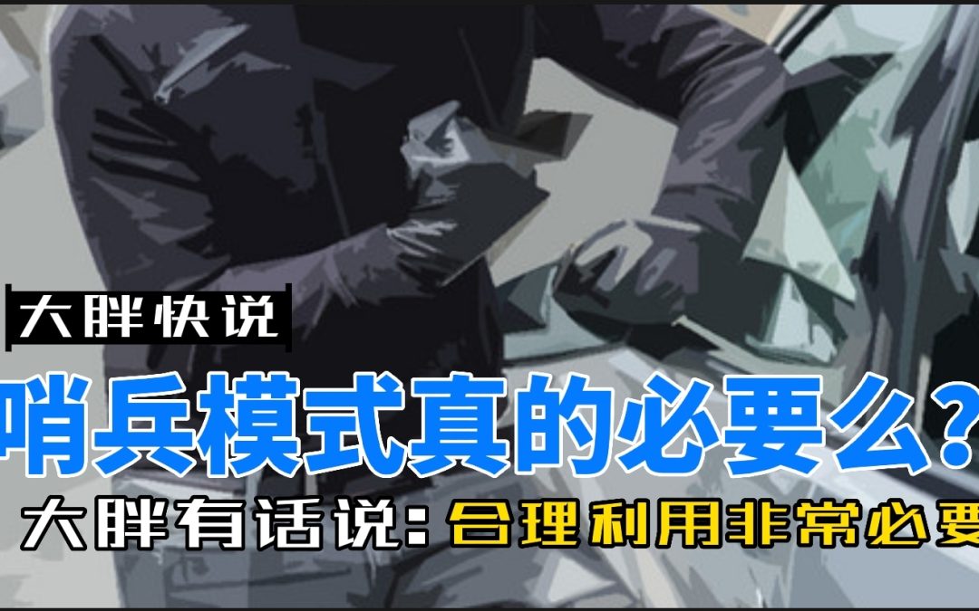 大胖快说|是要隐私还是安全 哨兵模式真的很有用