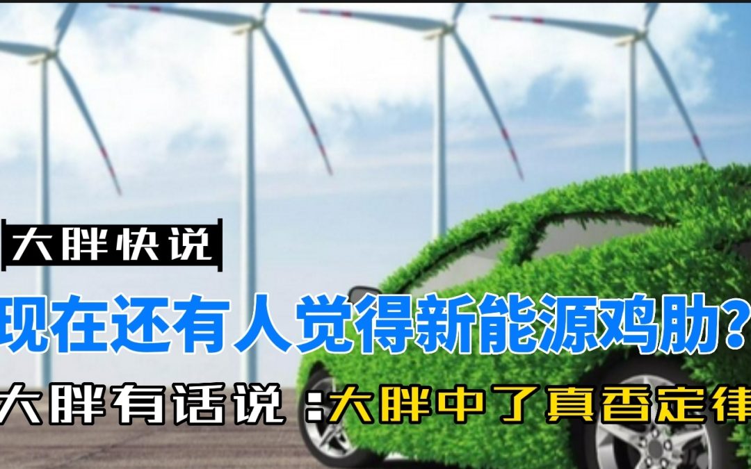 大胖快说|现在买新能源还有没有刻板偏见？