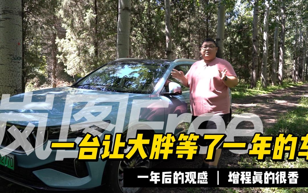 大胖换个角度在一年后细细品味岚图Free
