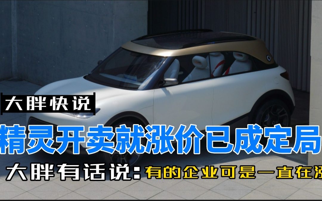 大胖快说|精灵新车涨价5800 A0级市场涨价成风