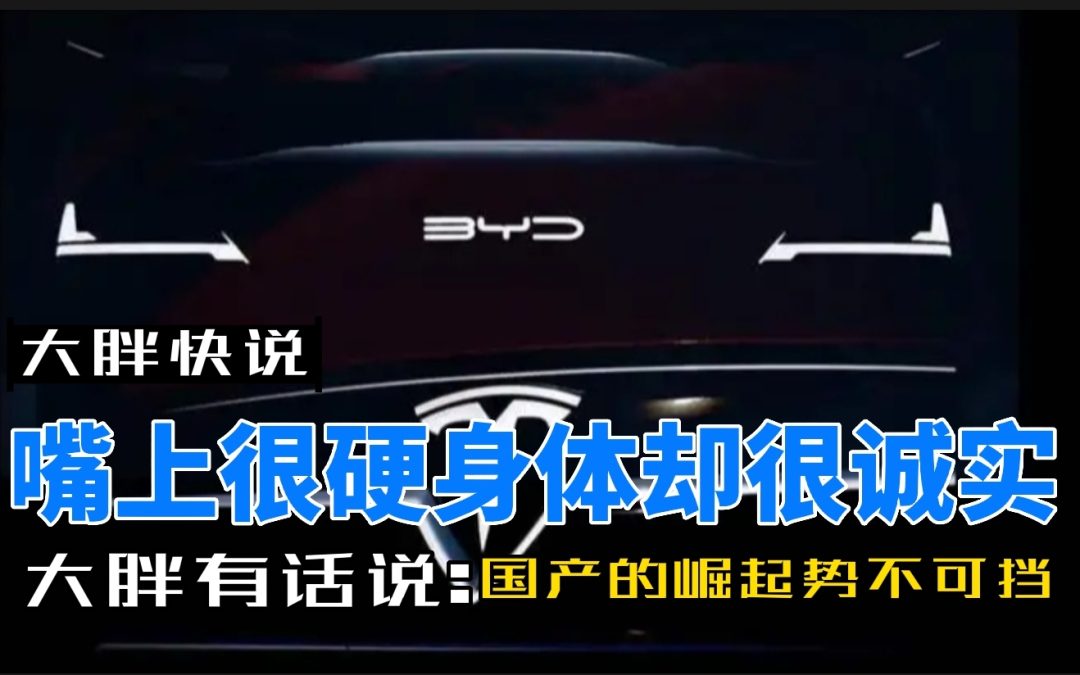 大胖快说|嘴上说不要身体却很诚实 特斯拉搭载比亚迪电池