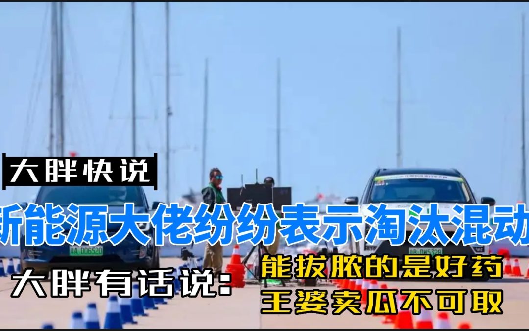 大胖快说|新能源大佬纷纷表示淘汰混动 王婆卖瓜也需要看重用户需求