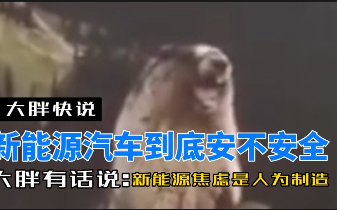大胖快说|如何突破新能源车安全恐惧 安全需要靠大家一起营造