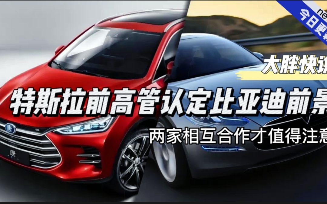 大胖快说|特斯拉前高管认定比亚迪是唯一对手
