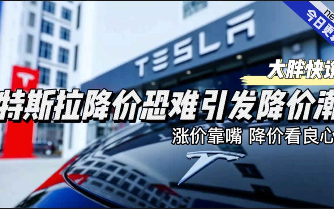 大胖快说|特斯拉降价很难引发降价潮 要看企业良心