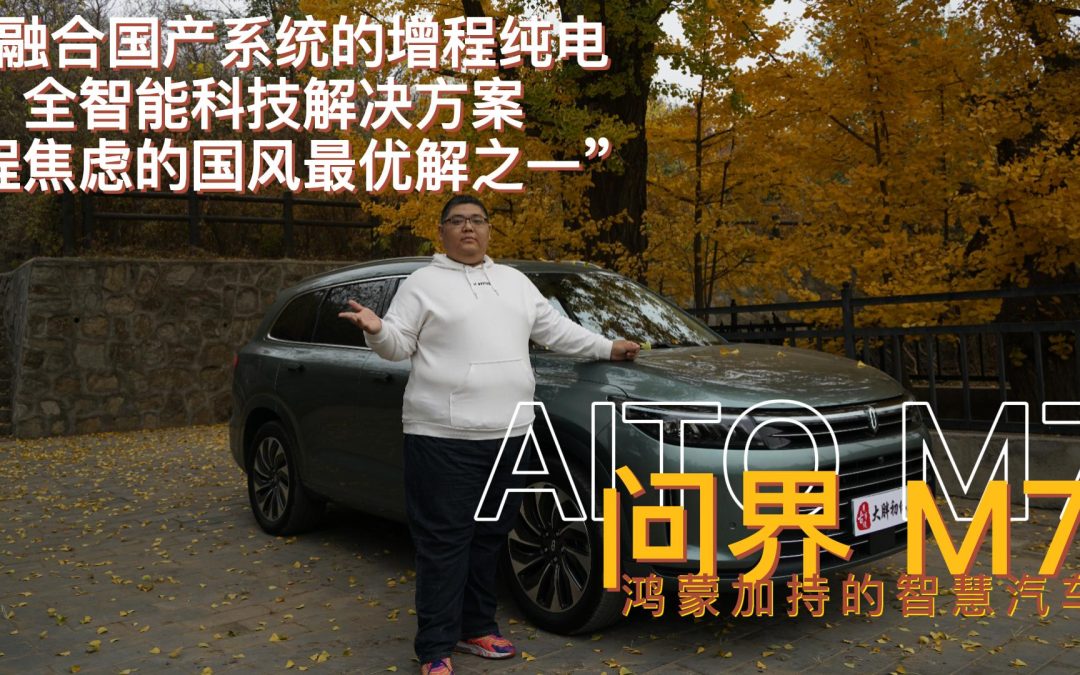 国风才是最Diao的 AITO问界M7国风新智能suv