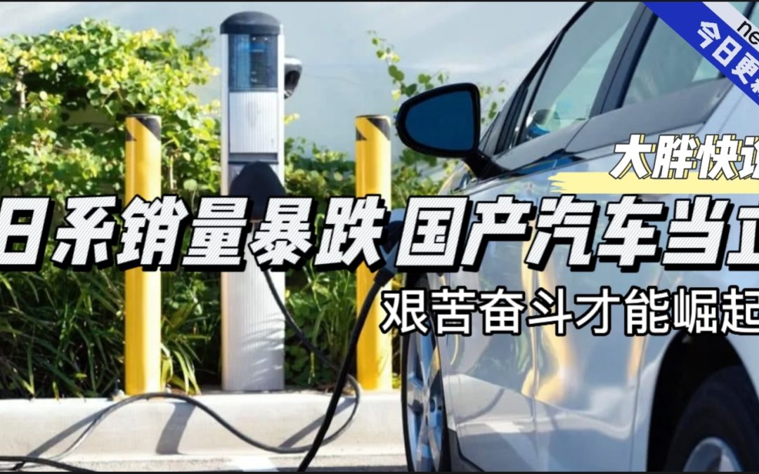 大胖快说|日系销量下滑 国产开始崛起