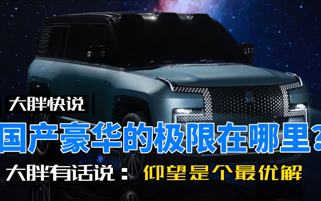 大胖快说|国产的高端极限在哪里？仰望给你答案