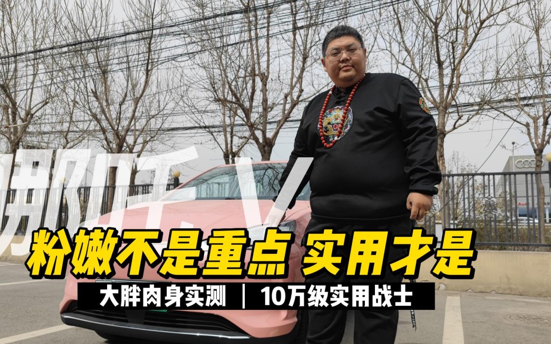大胖初体验|可爱又有实力 浅试小粉哪吒V