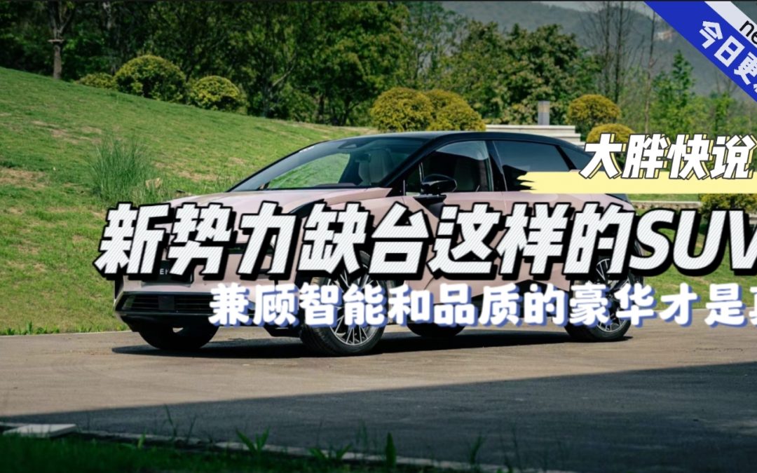 大胖快说|兼顾智能和品质的豪华才是真 新势力缺台这样的suv