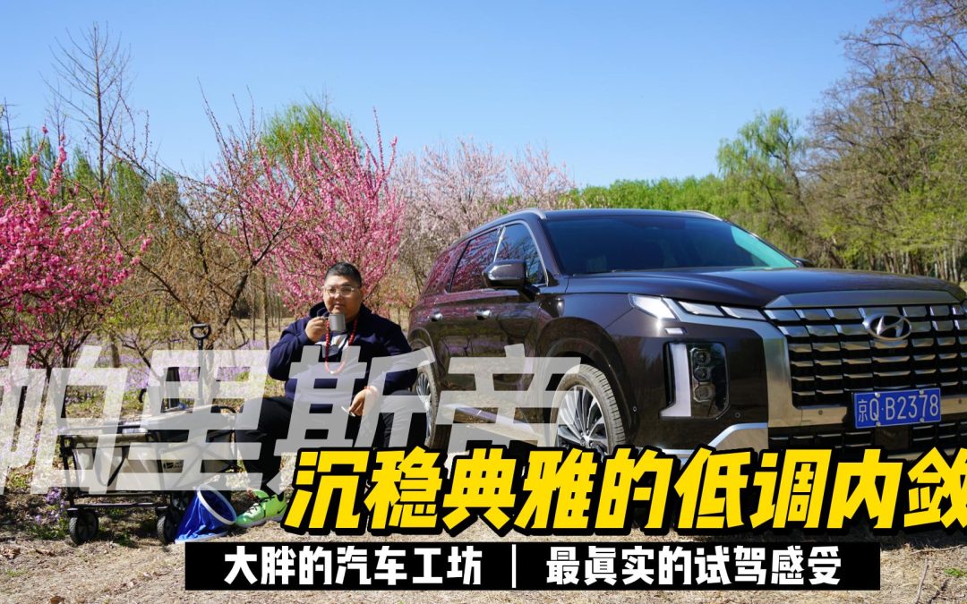 大胖汽车工坊|稳重典雅的低调内敛 现代帕里斯帝