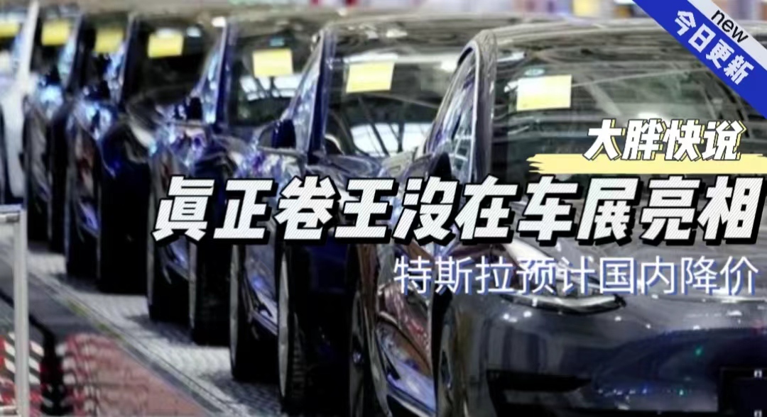 大胖快说｜特斯拉全球降价波及国内 车展卷王们瑟瑟发抖