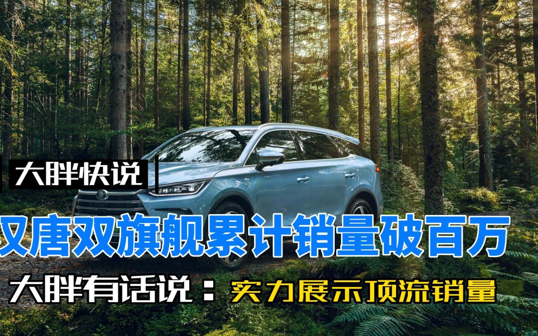 大胖快说|汉唐累计破百万 顶流销量实力展示