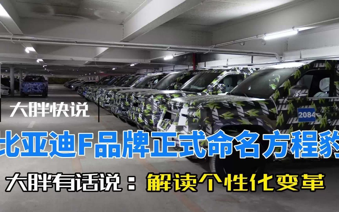 大胖快说|解读个性化变革 比亚迪方程豹定名
