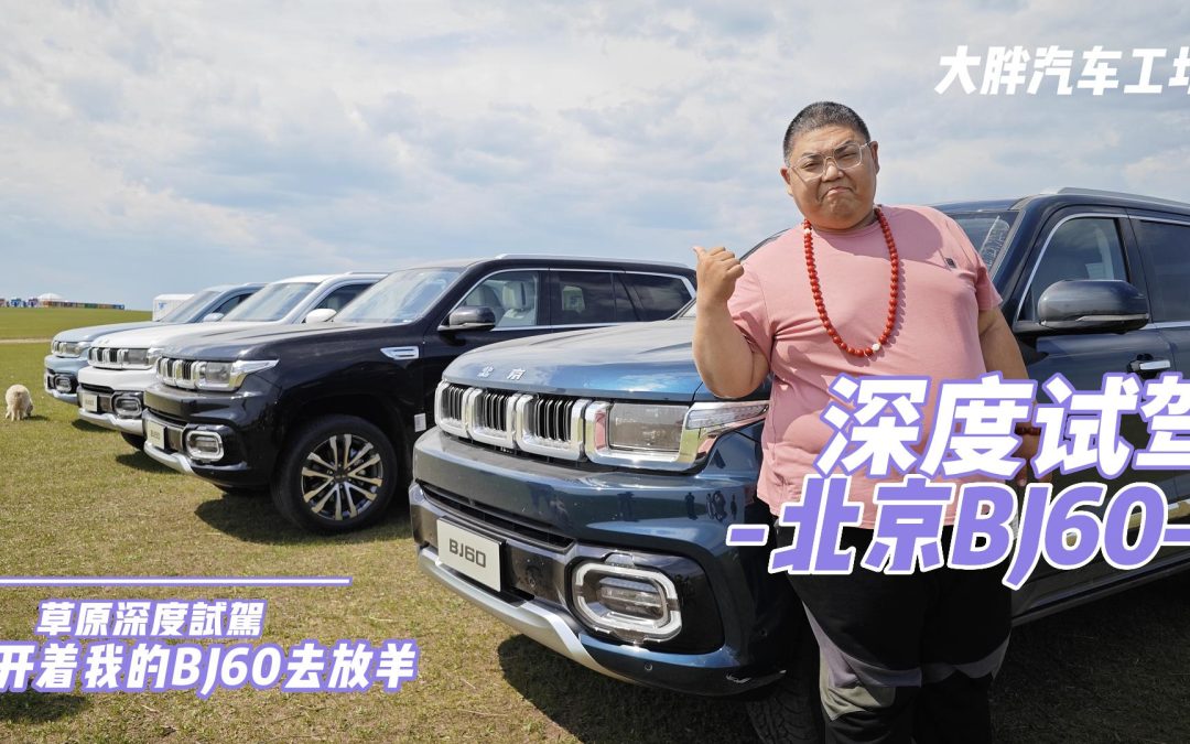 大胖汽车工坊|草原上的大平层 开着我的BJ60去放羊