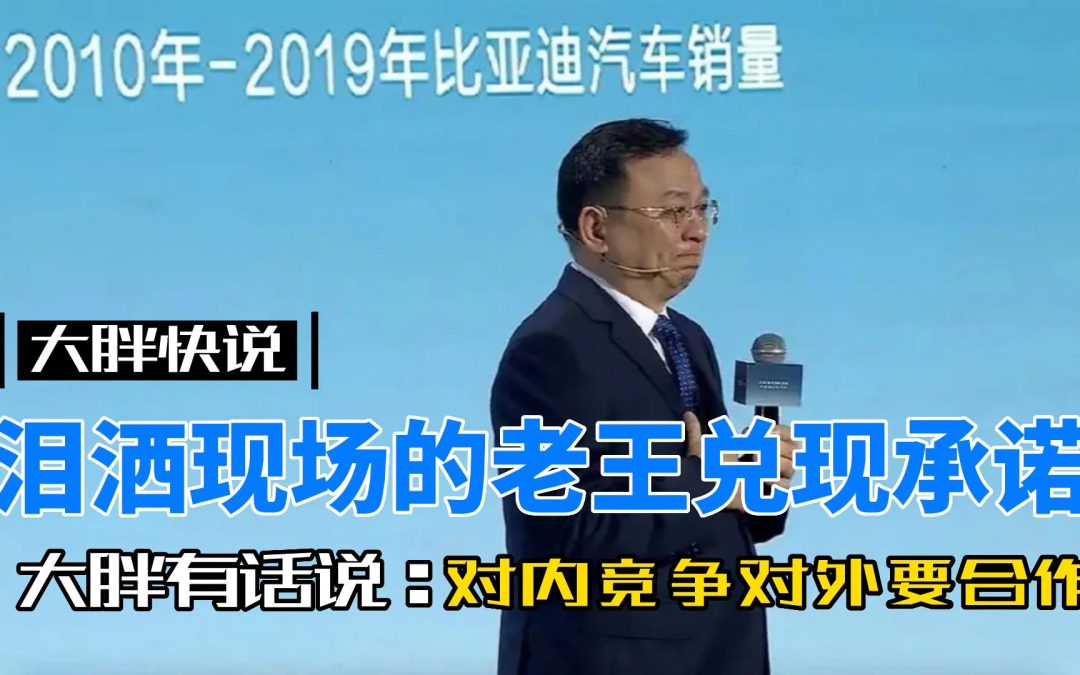 大胖快说|500万台新能源下线 王传福泪洒现场