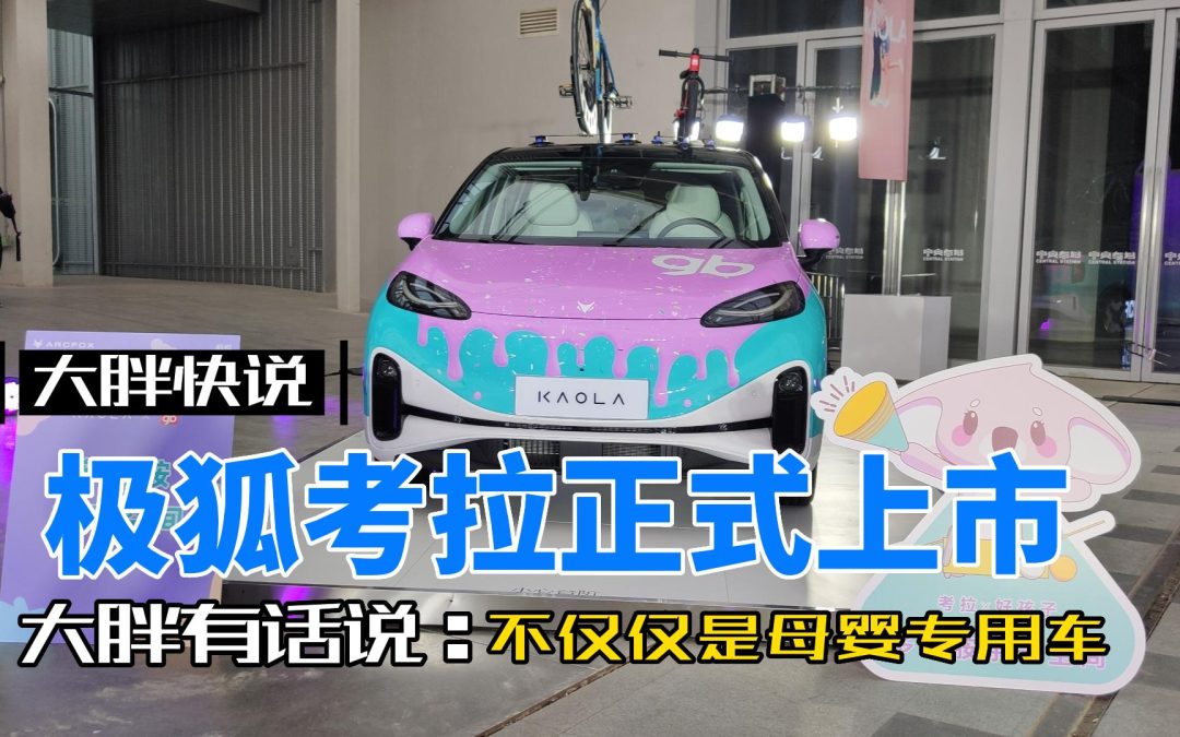 大胖快说|极狐考拉正式上市 价格和配置绝不是妈妈车