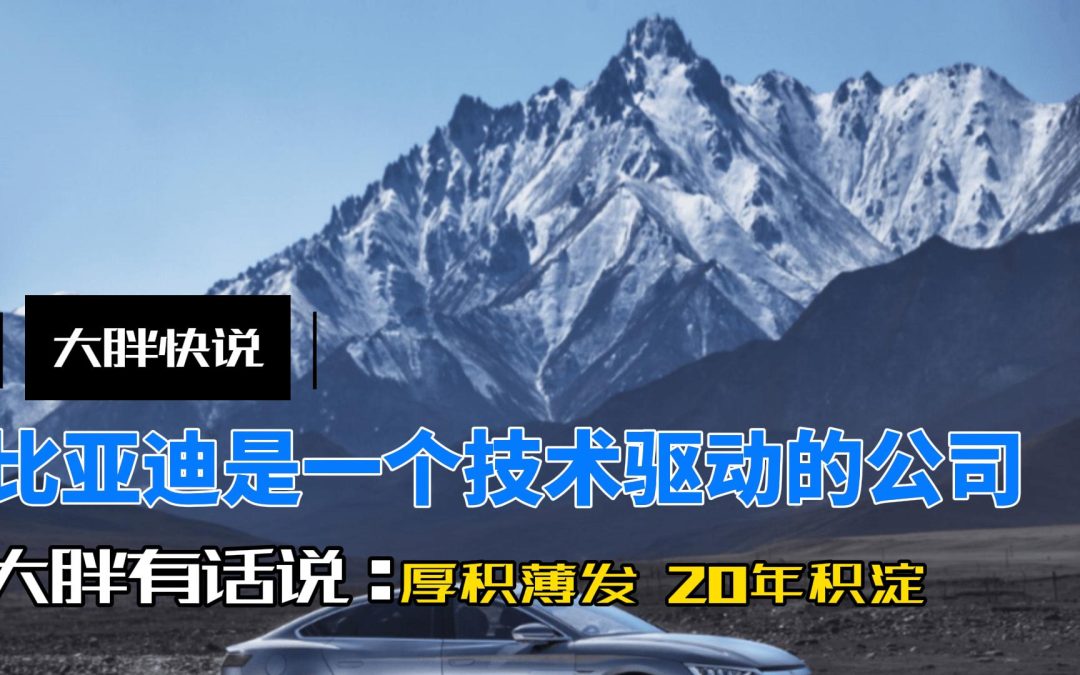 大胖快说|比亚迪卧薪尝胆20年 诠释以技术驱动的公司