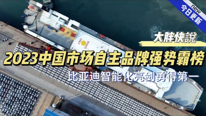 大胖快说|23年国内销量说明一切 新能源终将主导市场
