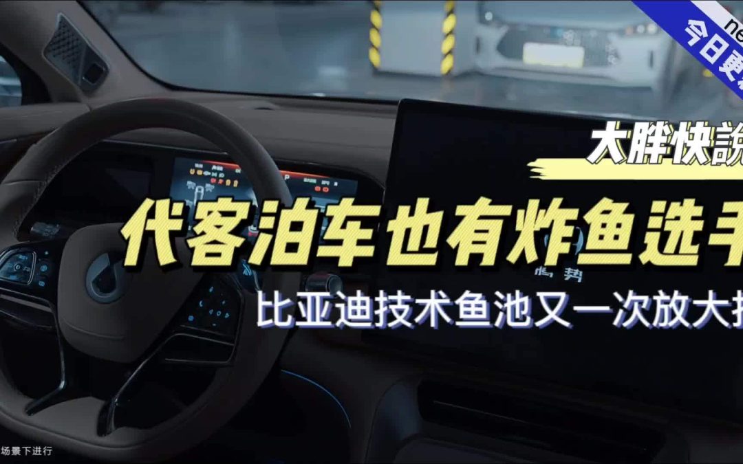 大胖快说|代客泊车也有炸鱼选手 比亚迪技术鱼池又一次放大招