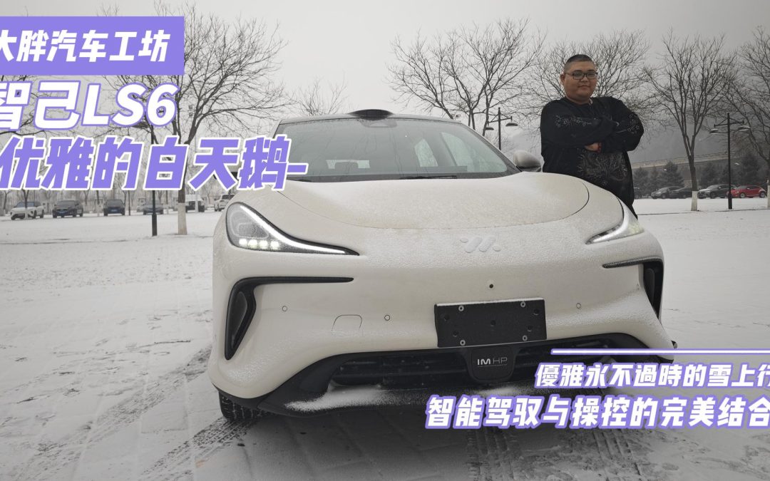大胖汽车工坊 优雅与智慧并存的白天鹅 智己LS6（上）