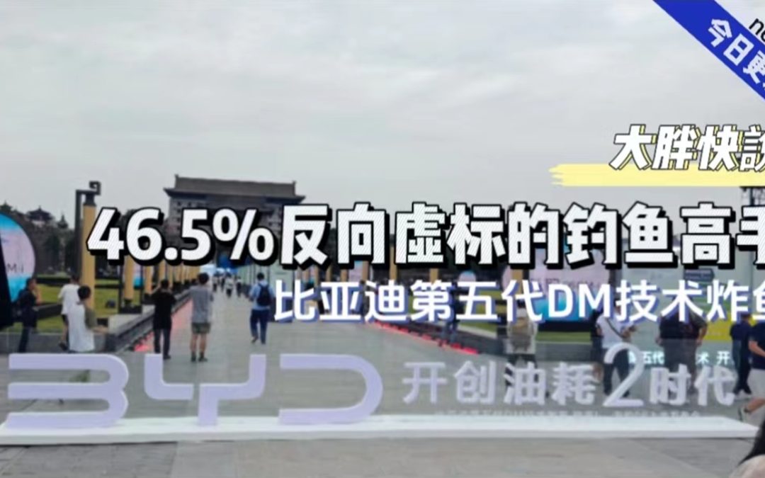 大胖快说|46.5%反向虚标的钓鱼高手 比亚迪第五代DM技术炸鱼