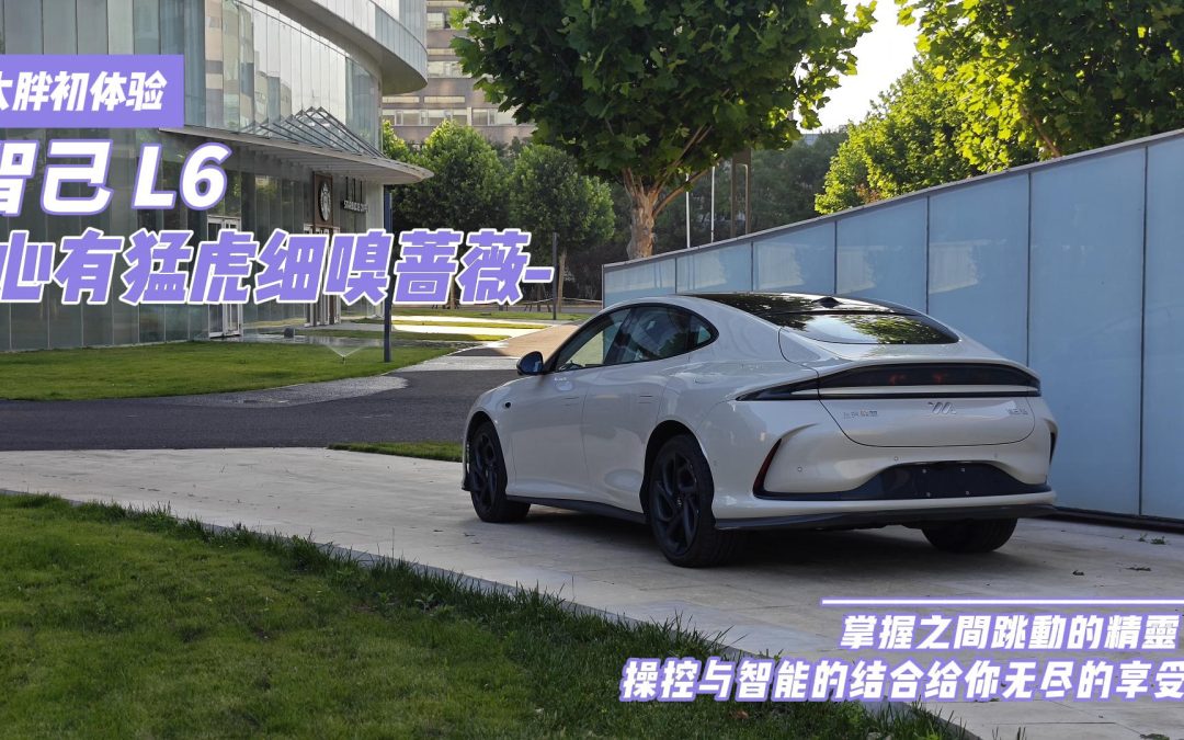 大胖初体验|驾驭科技体验未来 智己L6智驾有感