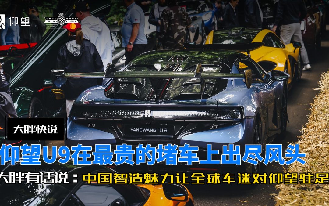 大胖快说|仰望U9现身全球最贵堵车 中国魅力吸引全球车迷驻足