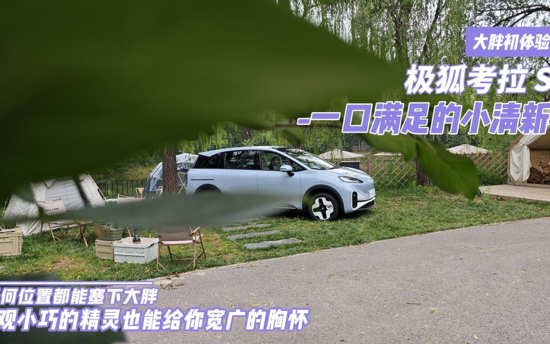 极狐考拉S 一满口的小清新 年轻人选车需要的是既要有要的美