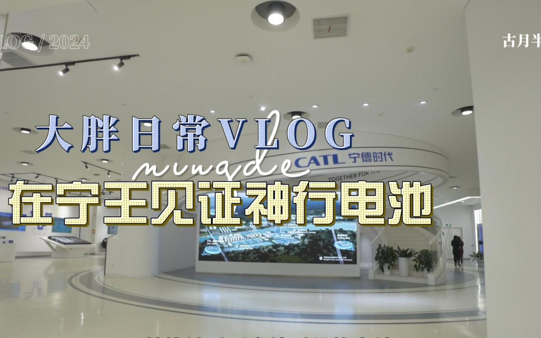 大胖Vlog 到宁德时代 看神行体验极狐阿尔法T5