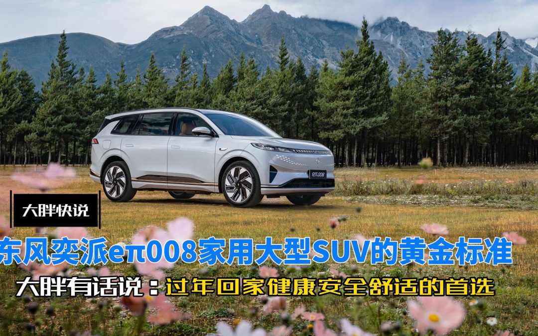 大胖快说 东风奕派eπ008你过年回家家用大型SUV的黄金标准