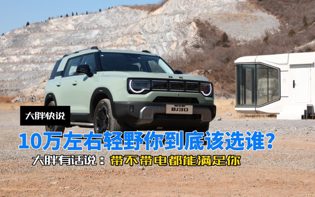 大胖快说 10万左右轻野到底该选谁？带不带电都能满足你