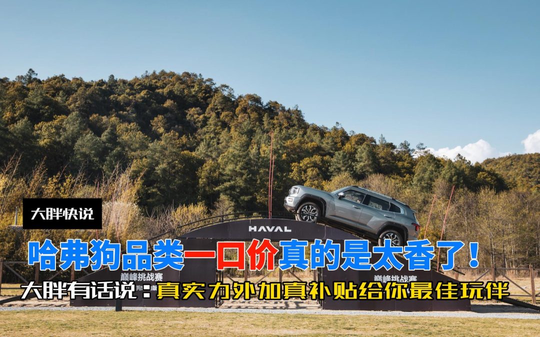 大胖快说 哈弗狗品类一口价真是太香了！