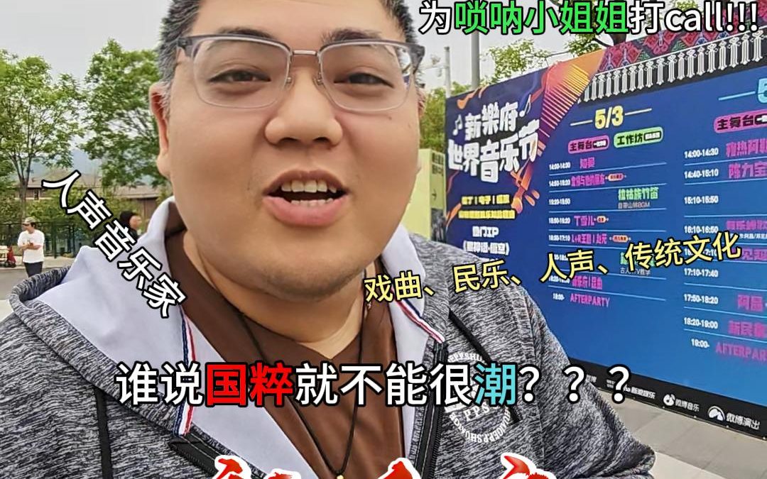 大胖日常Vlog 华流才是最吊的 带你看最IN的国潮音乐节-新乐府世界音乐节
