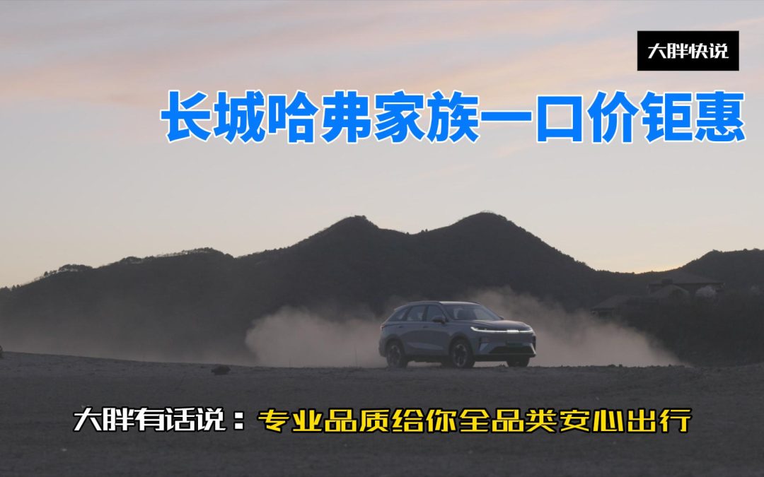大胖快说 长城哈弗家族全线一口价钜惠 品质专业让你买的安心