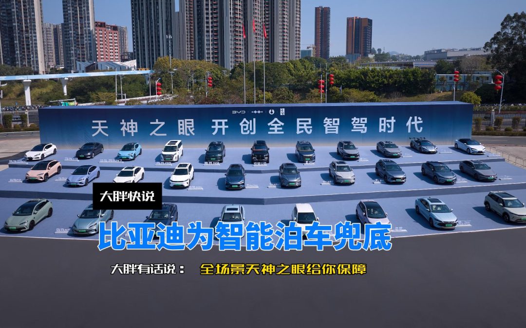 大胖快说 比亚迪为智能泊车兜底 全场景天神之眼给你保障