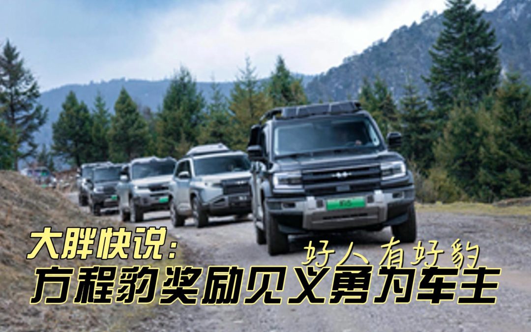 大胖快说 方程豹奖见义勇为车主 越野新王硬核安全筑起生命防线