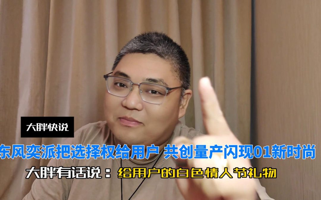 大胖快说 东风奕派eπ007共创版“闪现01”给用户白色情人节礼物
