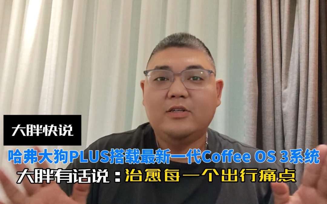 大胖快说 哈弗大狗PLUS上市 搭载最新一代Coffee OS 3系统