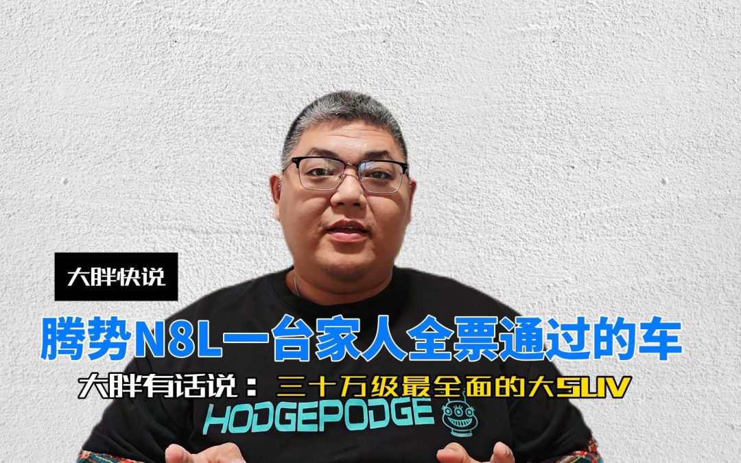 大胖快说 腾势N8L一台家人全票通过的车 30万级最全面的大SUV