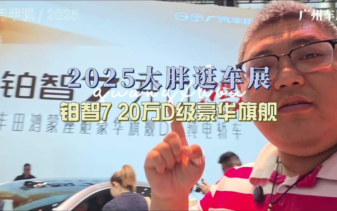 大胖逛车展 铂智7 20万D级豪华旗舰 挑战国产新势力最敏感的神经
