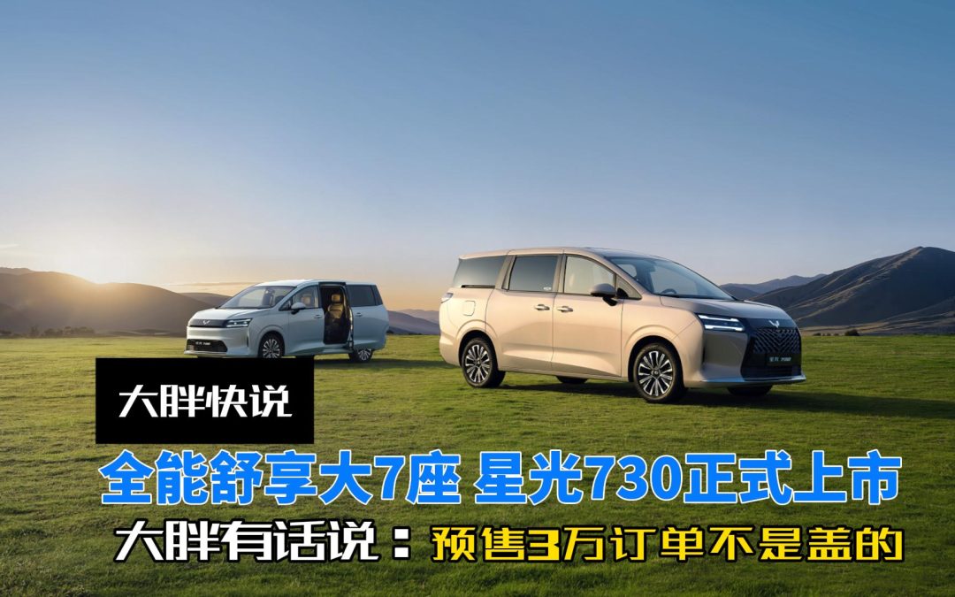 大胖快说 7.3万元起售！全能舒享大7座 星光730正式上市