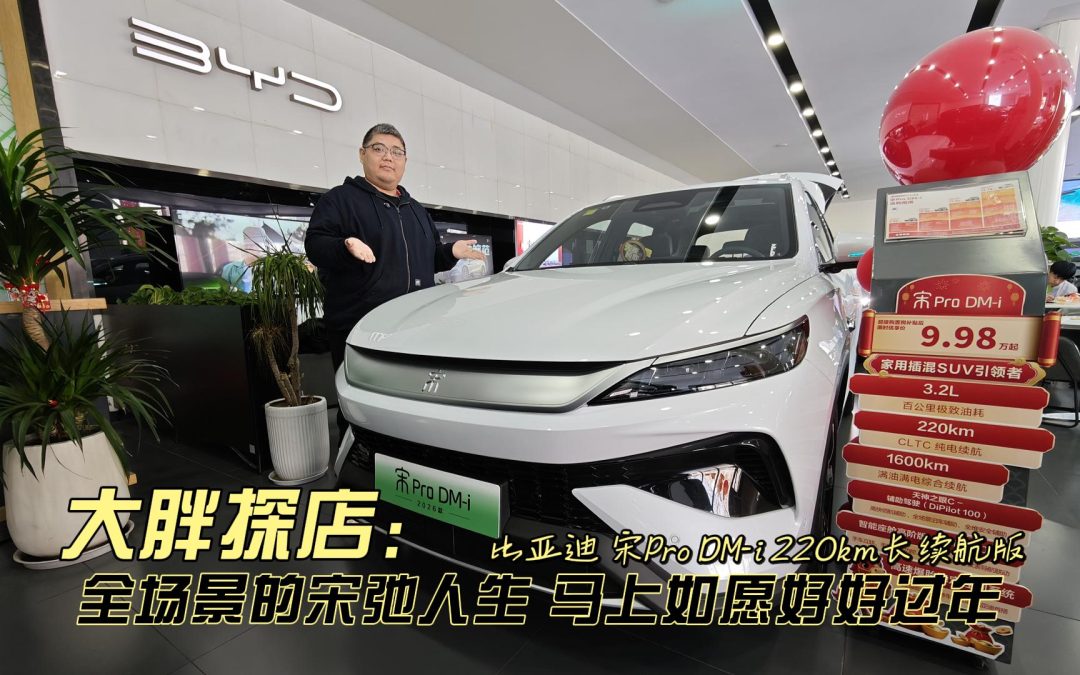 大胖探店 全场景的宋弛人生 比亚迪宋Pro DM i 220km长续航版