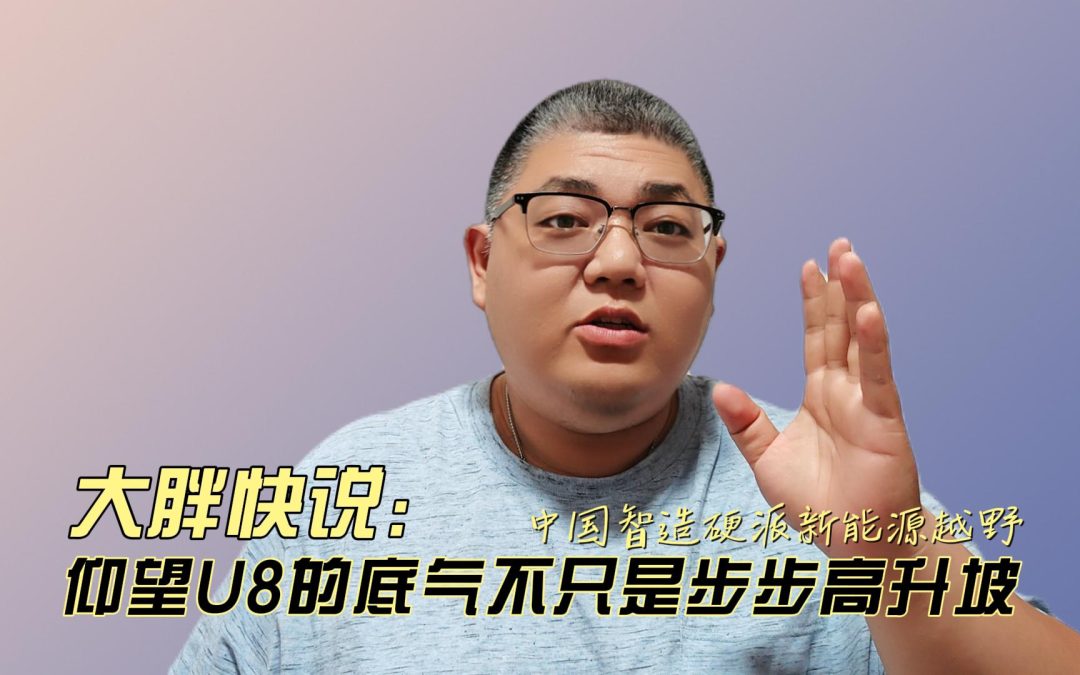 大胖快说 中国智造硬刚新能源越野 仰望U8不止步步高升坡