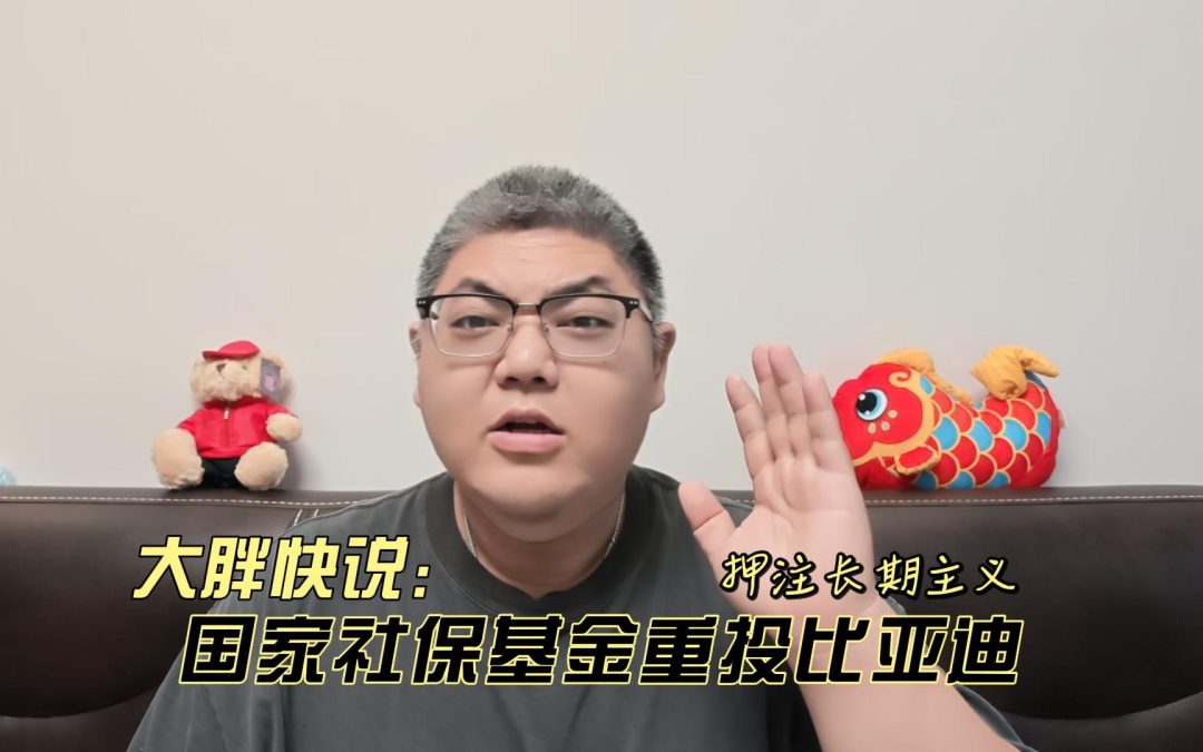大胖快说 全国社保基金重投比亚迪 国家队押注长期主义