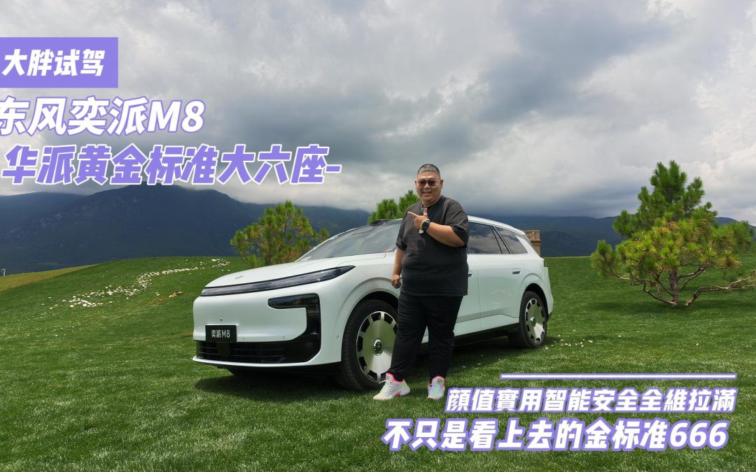 大胖试驾 东风奕派M8 不只是看上去的金标准666