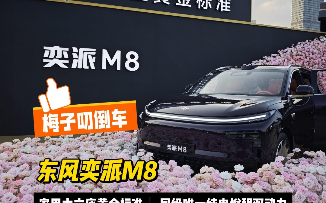 梅子叨倒车 东风奕派M8开启家用大六座黄金时代，限时16.58万起
