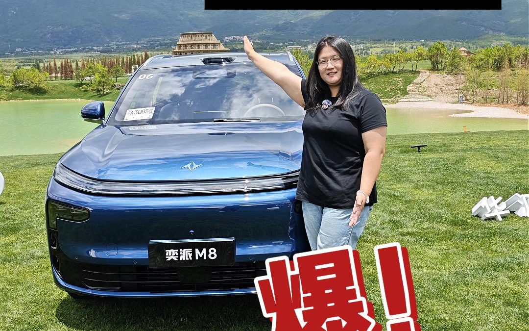 梅子叨倒车 悦己悦家的奕派M8 高颜值大六座全家出行首选