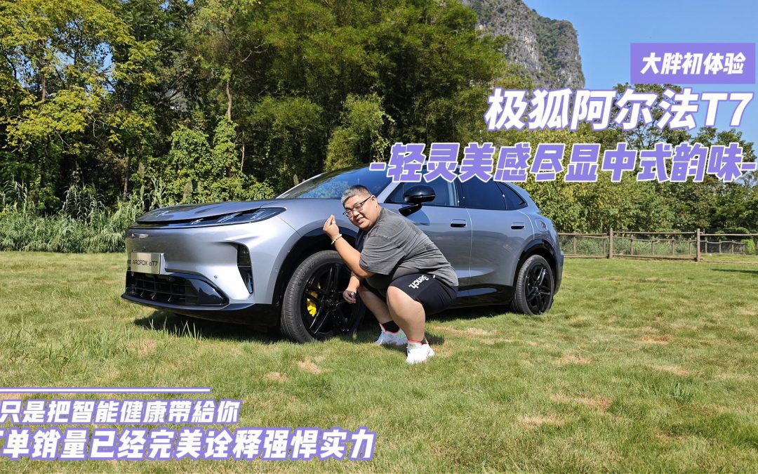 大胖初体验 极狐阿尔法T7 轻灵美感尽显中式韵味